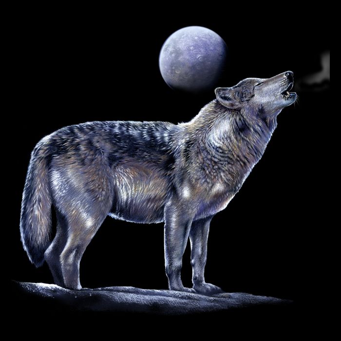 Moon Wolf Wool Snapback Cap