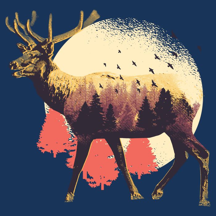 Moose Nature Ladies Long Sleeve Shirt