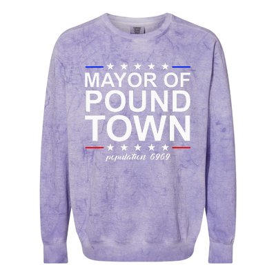 Mayor Of Pound Town Funny Adult Humor Pound Town Colorblast Crewneck Sweatshirt