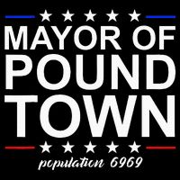 Mayor Of Pound Town Funny Adult Humor Pound Town Button