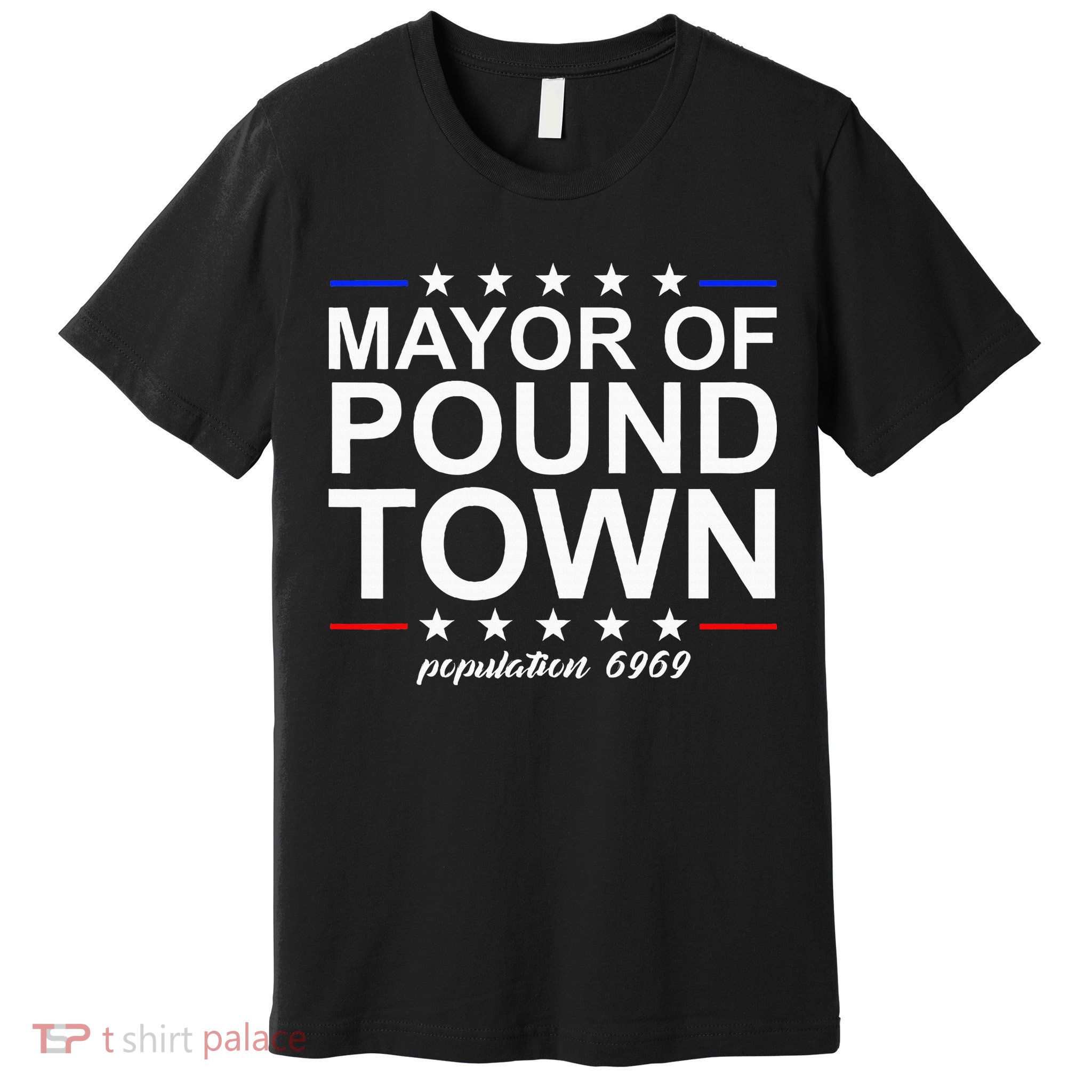 Mayor Of Pound Town Funny Adult Humor Pound Town Premium T-Shirt