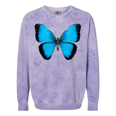 Morpho Butterfly Close Up 3D Colorblast Crewneck Sweatshirt