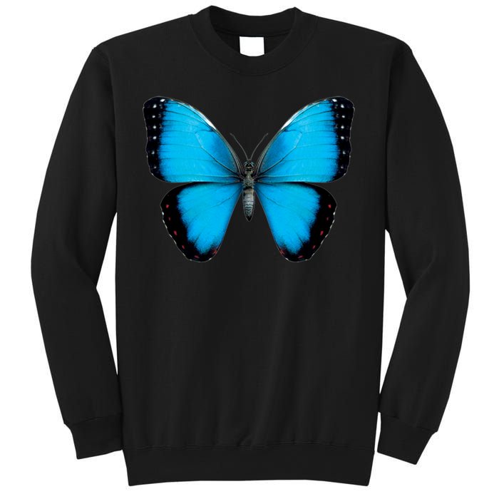 Morpho Butterfly Close Up 3D Sweatshirt