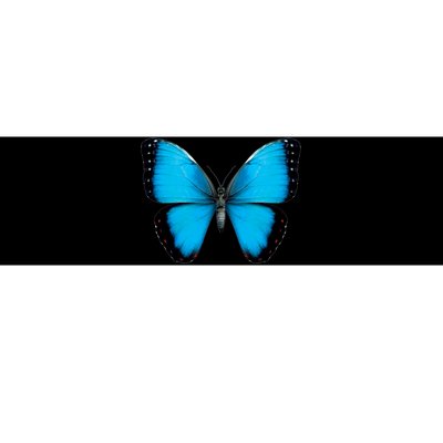 Morpho Butterfly Close Up 3D Bumper Sticker