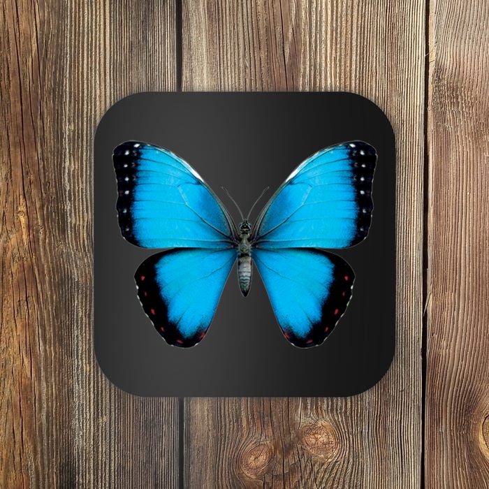 Morpho Butterfly Close Up 3D Coaster