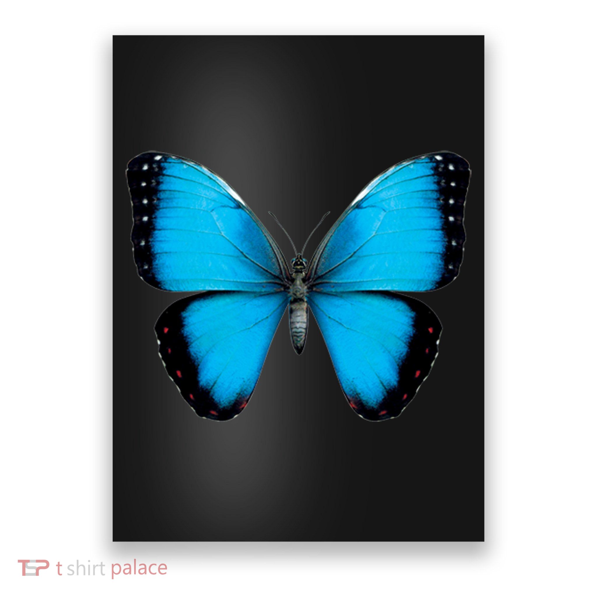 Morpho Butterfly Close Up 3D Poster