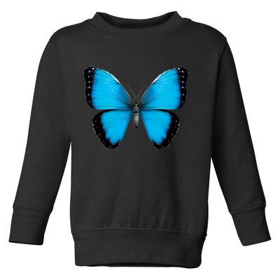 Morpho Butterfly Close Up 3D Toddler Sweatshirt