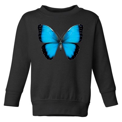 Morpho Butterfly Close Up 3D Toddler Sweatshirt