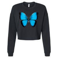 Morpho Butterfly Close Up 3D Cropped Pullover Crew