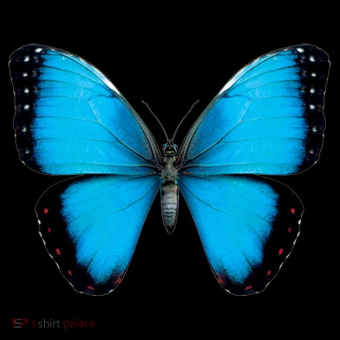 Morpho Butterfly Close Up 3D Short Acrylic Beanie