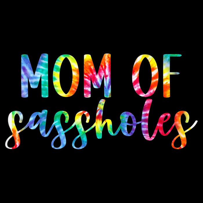 Mom of Sassholes Funny Colorful Magnet