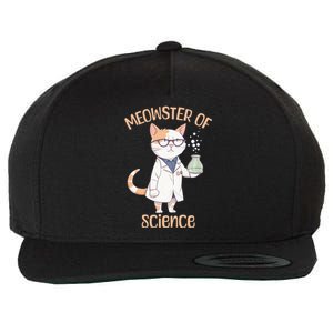 Meowster of Science Funny Lab Cat Laboratory Chemistry Wool Snapback Cap