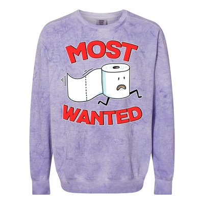 Most Wanted Toilet Paper Colorblast Crewneck Sweatshirt