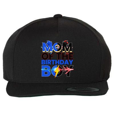 Mom Of The Birthday Boy Hedgehog Family Party Decorations Wool Snapback Cap