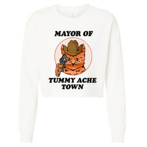 Mayor Of Tummy Ache Town Cropped Pullover Crew