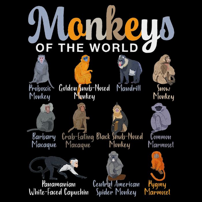 Monkeys Of The World Types Of Monkeys Funny Monkey Mousepad