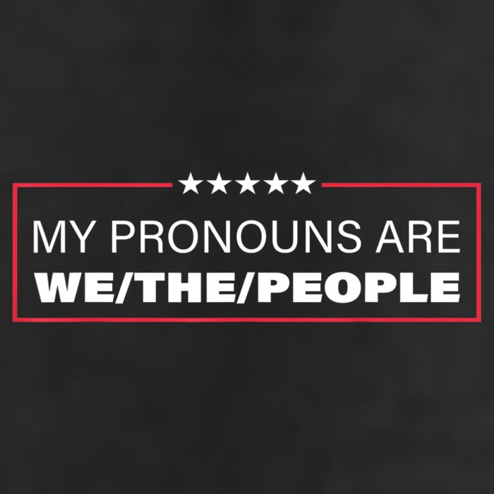 My Pronouns Are We The People Beanie