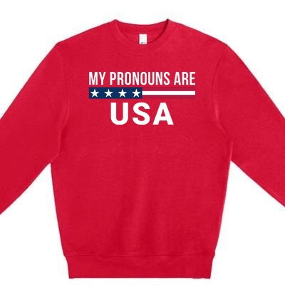 My Pronouns Are USA We The People 1776 USA Flag 4th Of July We The People Premium Crewneck Sweatshirt