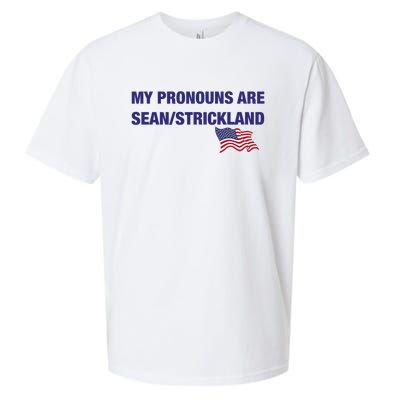 My Pronouns Are Sean Strickland Sueded Cloud Jersey T-Shirt