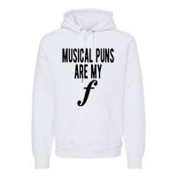 Musical Puns Are My Forte Band Instrument Fun Music Premium Hoodie