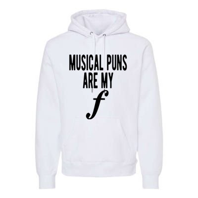 Musical Puns Are My Forte Band Instrument Fun Music Premium Hoodie