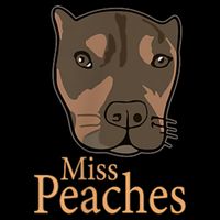 Miss Peaches Adopt Don’T Shop Toddler Hoodie