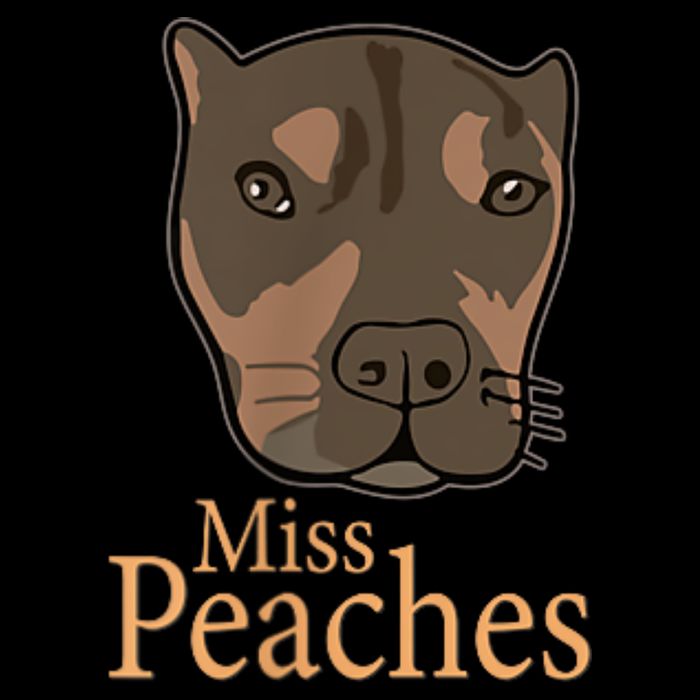 Miss Peaches Adopt Don’T Shop Toddler Hoodie