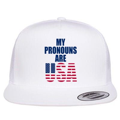 My Pronouns Are USA Patriotic Flatbill Hat