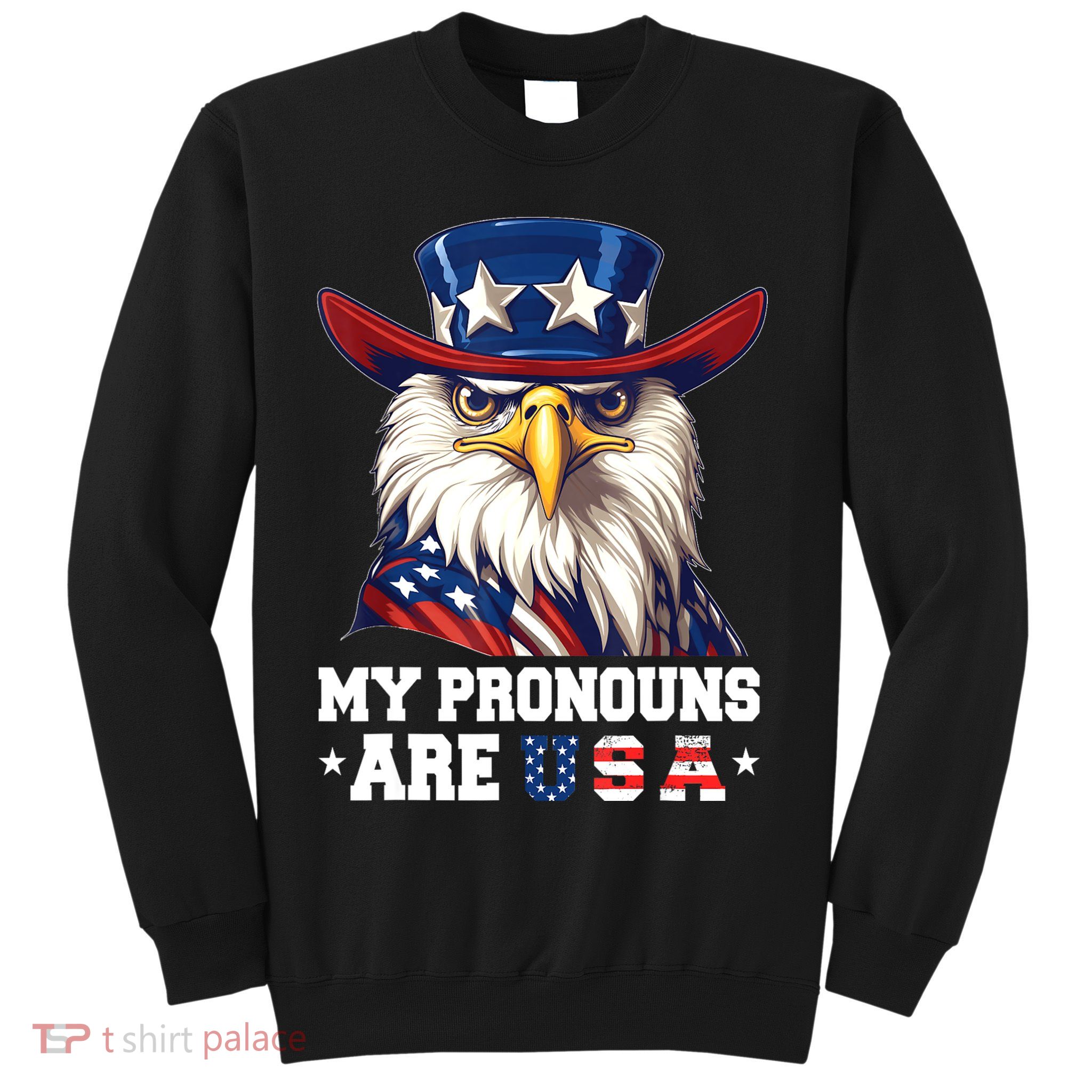My Pronouns Are USA Funny Eagle 4th Of July American Sweatshirt