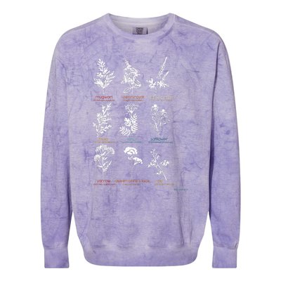 Mugwort Pennyroyal Black Cohosh Herbs Lovers Colorblast Crewneck Sweatshirt