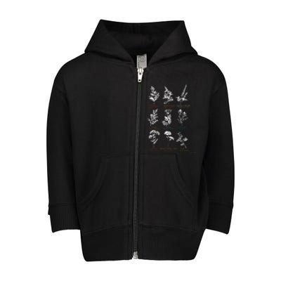 Mugwort Pennyroyal Black Cohosh Herbs Lovers Toddler Zip Fleece Hoodie