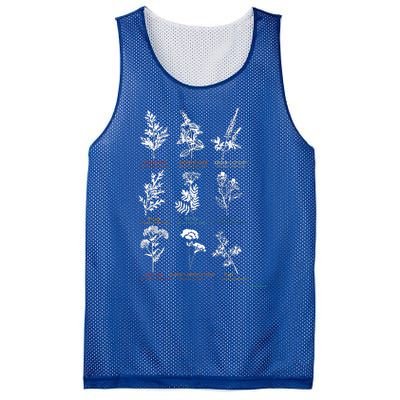 Mugwort Pennyroyal Black Cohosh Herbs Lovers Mesh Reversible Basketball Jersey Tank