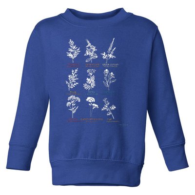 Mugwort Pennyroyal Black Cohosh Herbs Lovers Toddler Sweatshirt