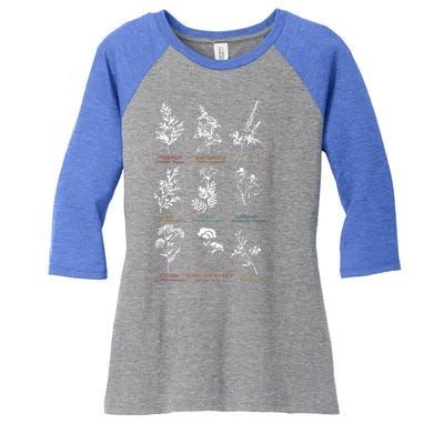 Mugwort Pennyroyal Black Cohosh Herbs Lovers Women's Tri-Blend 3/4-Sleeve Raglan Shirt