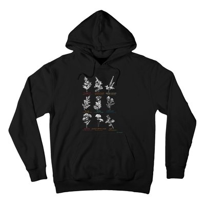 Mugwort Pennyroyal Black Cohosh Herbs Lovers Hoodie