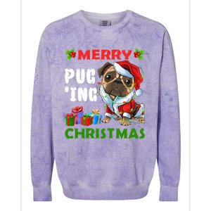 Merry PugIng Christmas Santa Pug Dog Christmas Tree Lights Gift Colorblast Crewneck Sweatshirt