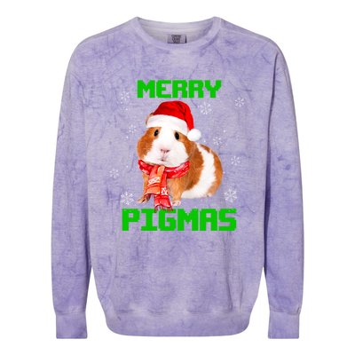 Merry Pigmas Christmas Guinea Pig Santa Hat Light In Snow Great Gift Colorblast Crewneck Sweatshirt