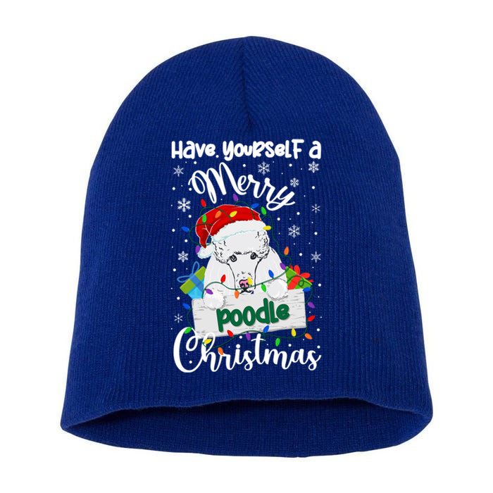 Merry Poodle Christmas Poodle Xmas Party Poodle Gift Short Acrylic Beanie