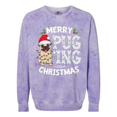 Merry Pugging Christmas Dog Santa Pug Xmas Pugmas Colorblast Crewneck Sweatshirt