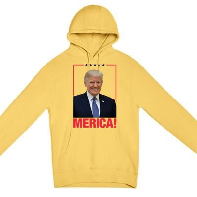 Merica! President Donald Trump Presidential Portrait Meme Gift Premium Pullover Hoodie