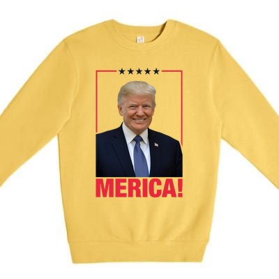 Merica! President Donald Trump Presidential Portrait Meme Gift Premium Crewneck Sweatshirt