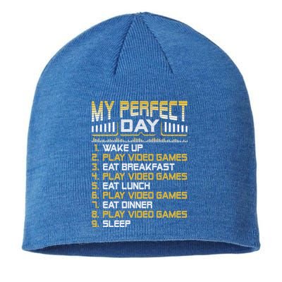 My Perfect Day Video Games Funny Gift Funny Cool Gamer Tee Gift Sustainable Beanie