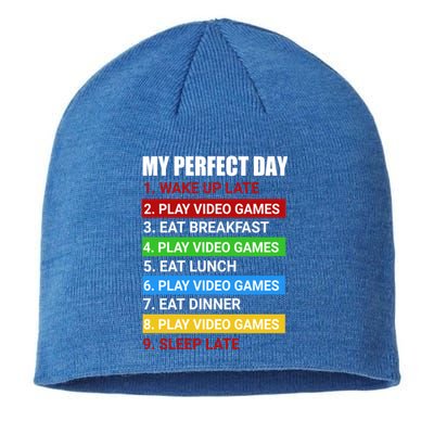 My Perfect Day Video Games Cool Gift Funny Cool Gamer Tee Great Gift Sustainable Beanie