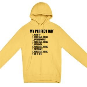 My Perfect Day Funny Horseback Riding Gift Premium Pullover Hoodie