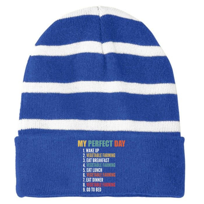 My Perfect Day Funny Vegetable Farming Gift Striped Beanie with Solid Band