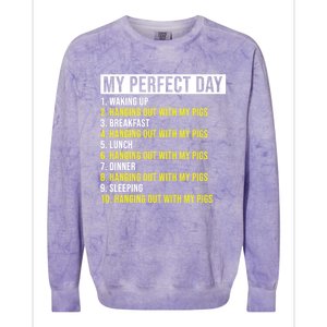 My Perfect Day Hanging Out With My Pigs Pig Cool Gift Colorblast Crewneck Sweatshirt