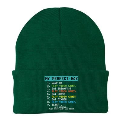 My Perfect Day Play Video Games Funny Gamer Knit Cap Winter Beanie