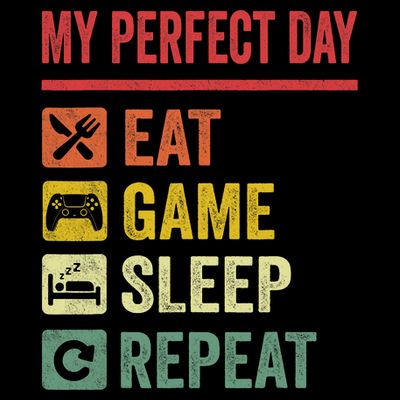 My Perfect Day Video Games Funny Cool Gamer Tee Gift T-Shirt