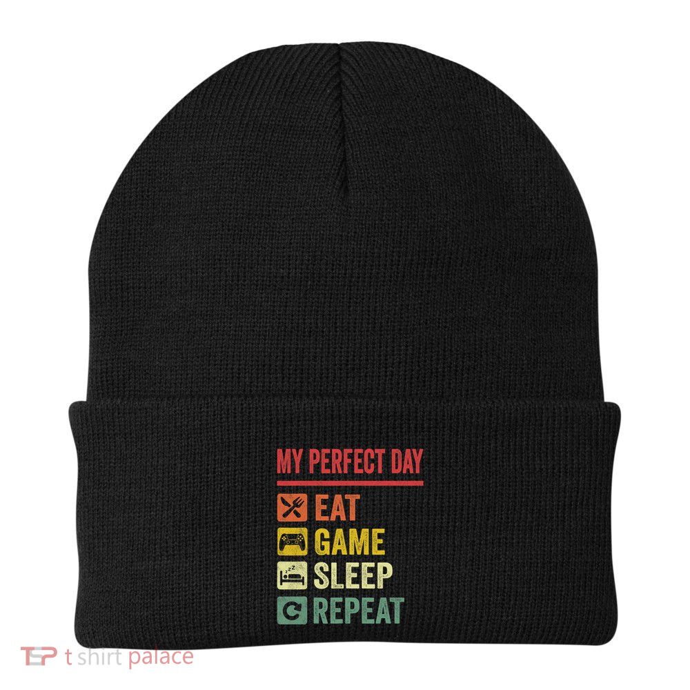 My Perfect Day Video Games Funny Cool Gamer Tee Gift Beanie