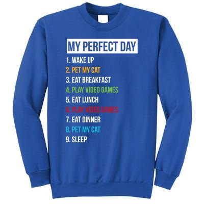 My Perfect Day Video Games And Cats Gift Sweatshirt